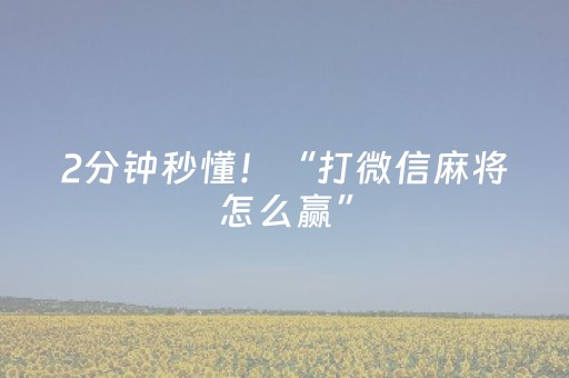 2分钟秒懂！“手机打扑克牌有外挂吗”（详细辅助教程）-哔哩哔哩