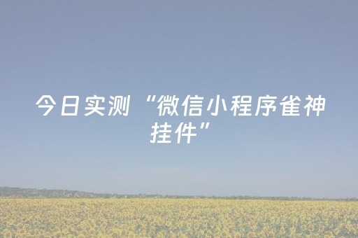 实测分享“小程序麻将插件”（详细辅助教程）-哔哩哔哩