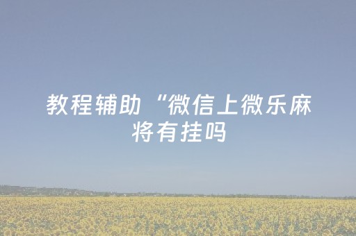 实测分析“手机跑得快软挂神器”（详细开挂教程）-哔哩哔哩