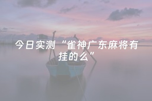 今日实测“雀神广东麻将有挂的么”（详细辅助教程）-哔哩哔哩