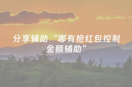 分享辅助“哪有抢红包控制金额辅助”（详细透视教程）-哔哩哔哩
