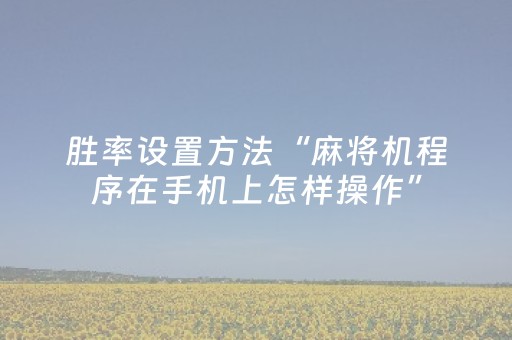 胜率设置方法“麻将机程序在手机上怎样操作”（详细透视教程）-哔哩哔哩