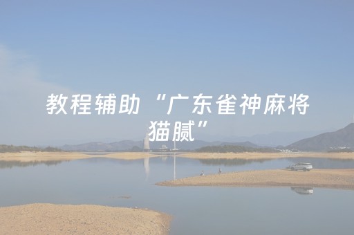 2分钟秒懂！“微信三公点数控制”（详细辅助教程）-哔哩哔哩