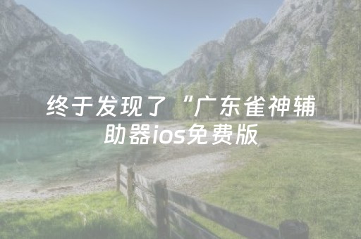 终于发现了“广东雀神辅助器ios免费版（专用辅牌神器免安装）