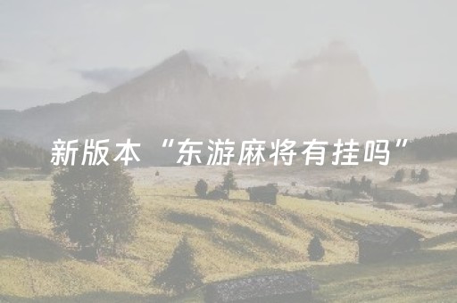 新版本“东游麻将有挂吗”（详细透视教程）-哔哩哔哩