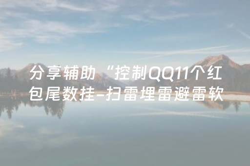 分享辅助“控制QQ11个红包尾数挂-扫雷埋雷避雷软件”（详细透视教程）-哔哩哔哩