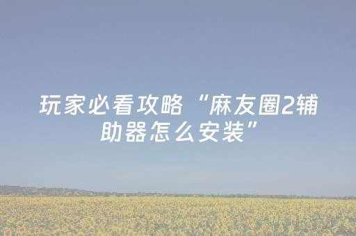 玩家必看攻略“麻友圈2辅助器怎么安装”（详细透视教程）-哔哩哔哩
