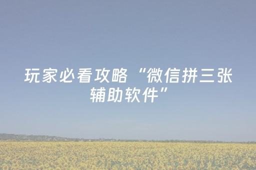 玩家必看攻略“微信拼三张辅助软件”（详细透视教程）-哔哩哔哩