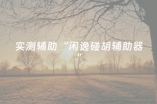 实测辅助“闲逸碰胡辅助器”（详细透视教程）-哔哩哔哩