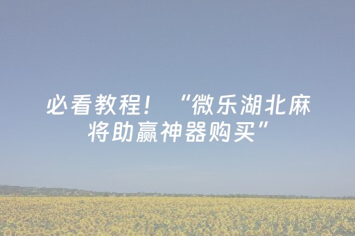 必看教程！“微乐湖北麻将助赢神器购买”（详细辅助教程）-哔哩哔哩
