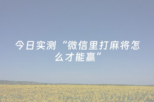 今日实测“微信里打麻将怎么才能赢”（详细辅助教程）-哔哩哔哩
