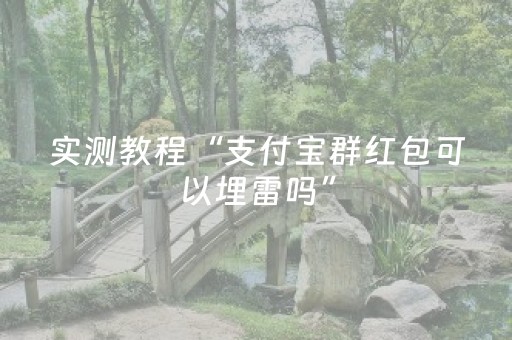 必看教程！“微信小程序雀神辅助器安卓版”（详细透视教程）-哔哩哔哩