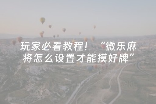 玩家必看教程！“微乐麻将怎么设置才能摸好牌”（详细辅助教程）-哔哩哔哩