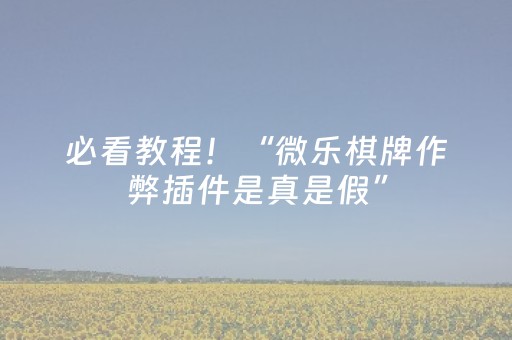 必看教程！“微乐棋牌作弊插件是真是假”（详细辅助教程）-哔哩哔哩