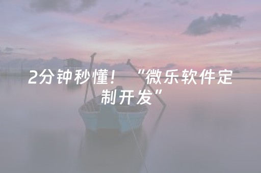 2分钟秒懂！“微乐软件定制开发”（详细透视教程）-哔哩哔哩