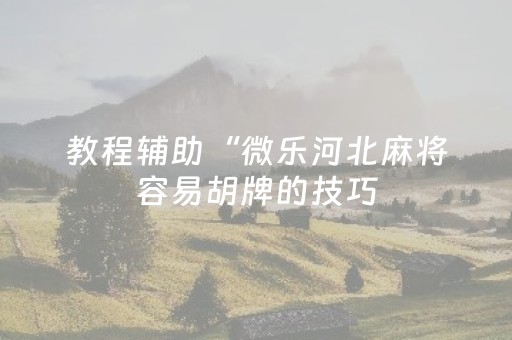 教程辅助“微乐河北麻将容易胡牌的技巧（助赢神器通用版）