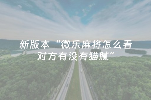 新版本“微乐麻将怎么看对方有没有猫腻”（详细透视教程）-哔哩哔哩