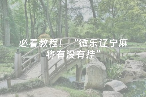 必看教程！“微乐辽宁麻将有没有挂”（详细透视教程）-哔哩哔哩