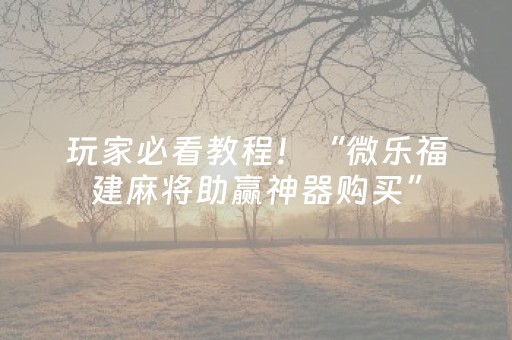 玩家必看教程！“微乐福建麻将助赢神器购买”（详细辅助教程）-哔哩哔哩