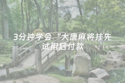 3分钟学会“大唐麻将挂先试用后付款（助赢神器通用版）