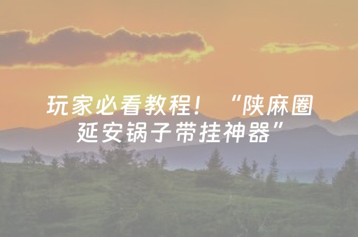 玩家必看教程！“陕麻圈延安锅子带挂神器”（详细透视教程）-哔哩哔哩