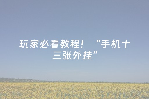 玩家必看教程！“手机十三张外挂”（详细开挂教程）-哔哩哔哩