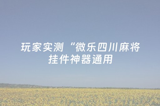 玩家实测“微乐四川麻将挂件神器通用（专用辅牌神器免安装）