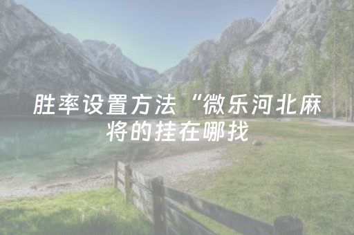 胜率设置方法“微乐河北麻将的挂在哪找（专用辅牌神器免安装）
