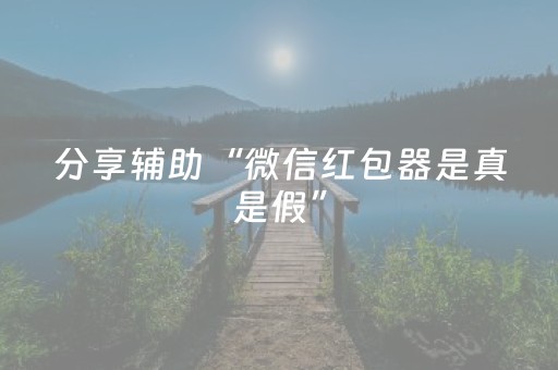 玩家必备教程“小程序麻将软件神器”（详细透视教程）-哔哩哔哩