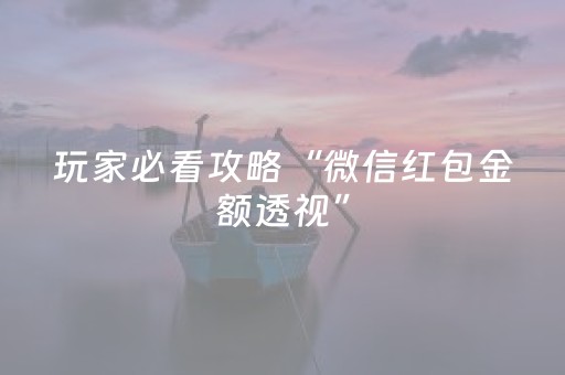 玩家必看攻略“微信红包金额透视”（详细透视教程）-哔哩哔哩