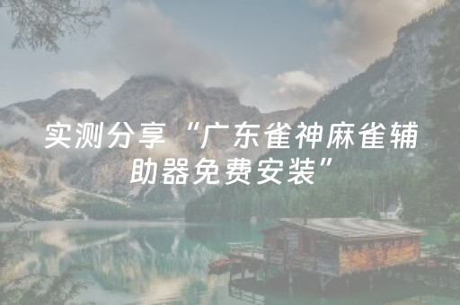 实测分享“广东雀神麻雀辅助器免费安装”（详细透视教程）-哔哩哔哩