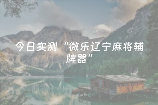 今日实测“微乐辽宁麻将辅牌器”（详细辅助教程）-哔哩哔哩