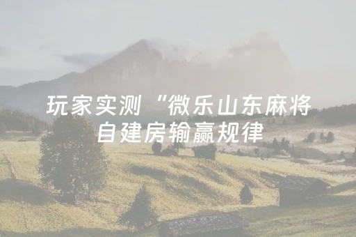 必看教程！“微乐湖南麻将助赢神”（详细开挂教程）-哔哩哔哩