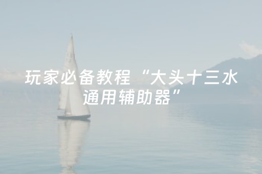 玩家必备教程“大头十三水通用辅助器”（详细透视教程）-哔哩哔哩