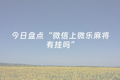今日盘点“微信上微乐麻将有挂吗”（详细透视教程）-哔哩哔哩