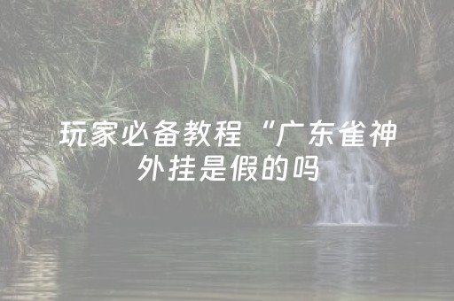 玩家必备教程“广东雀神外挂是假的吗（专用辅牌神器免安装）