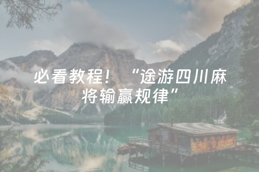 实测分享“手机打牌外挂是怎么搞的”（详细辅助教程）-哔哩哔哩