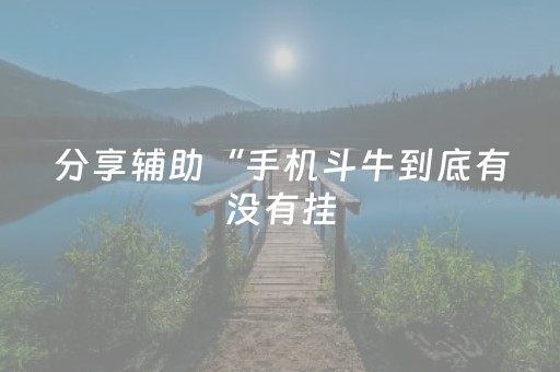 分享辅助“手机斗牛到底有没有挂（助赢神器通用版）