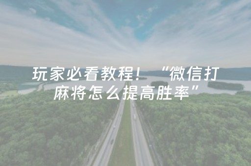玩家必看教程！“微信打麻将怎么提高胜率”（详细辅助教程）-哔哩哔哩