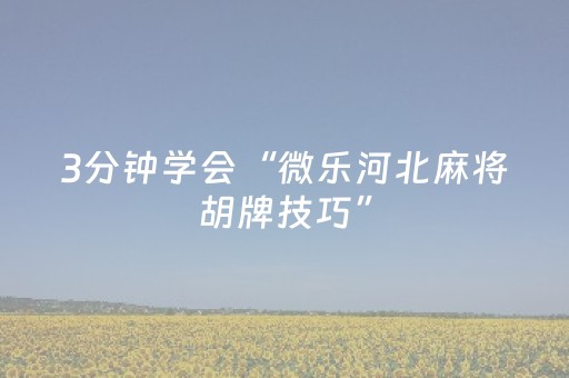 3分钟学会“微乐河北麻将胡牌技巧”（详细透视教程）-哔哩哔哩