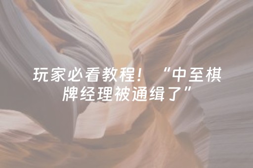 玩家必看教程！“中至棋牌经理被通缉了”（详细透视教程）-哔哩哔哩