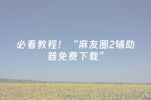 必看教程！“麻友圈2辅助器免费下载”（详细辅助教程）-哔哩哔哩