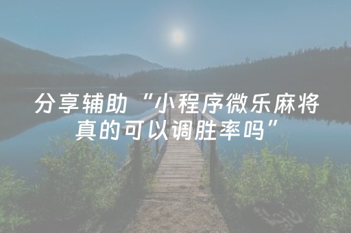 分享辅助“小程序微乐麻将真的可以调胜率吗”（详细透视教程）-哔哩哔哩