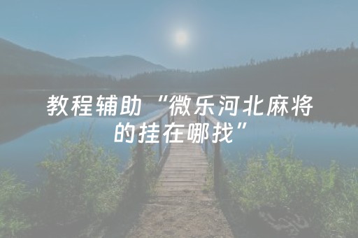 教程辅助“微乐河北麻将的挂在哪找”（详细透视教程）-哔哩哔哩