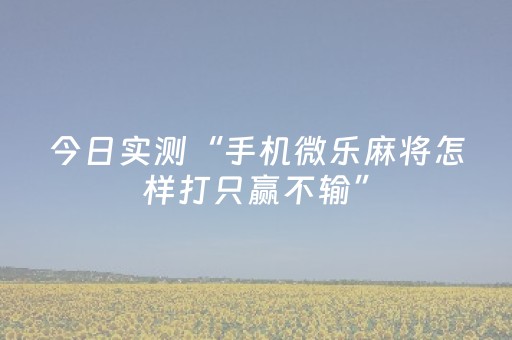 今日实测“手机微乐麻将怎样打只赢不输”（详细辅助教程）-哔哩哔哩