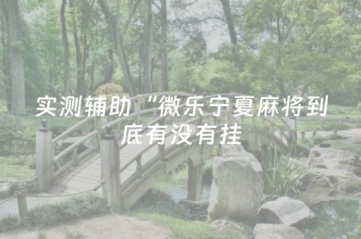 实测辅助“微乐宁夏麻将到底有没有挂（助赢神器通用版）