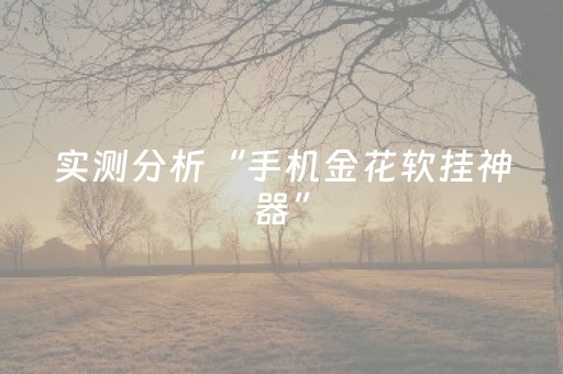 实测分析“手机金花软挂神器”（详细开挂教程）-哔哩哔哩