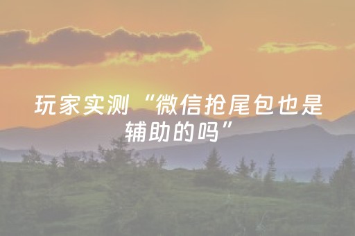 玩家实测“微信抢尾包也是辅助的吗”（详细透视教程）-哔哩哔哩