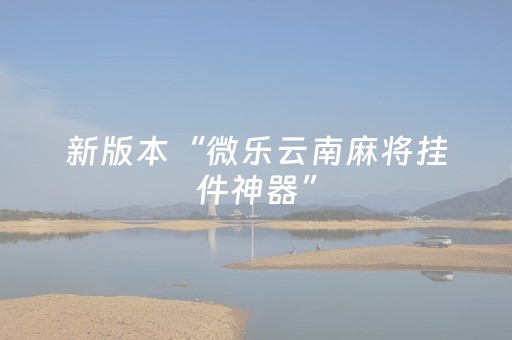 新版本“微乐云南麻将挂件神器”（详细透视教程）-哔哩哔哩