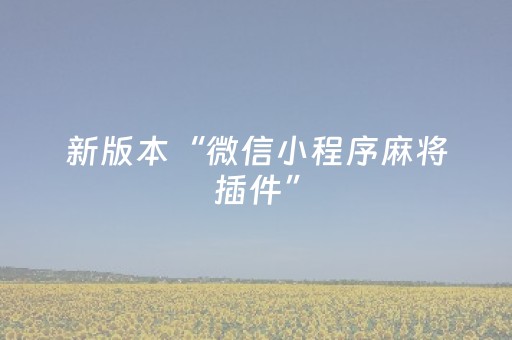 新版本“微信小程序麻将插件”（详细透视教程）-哔哩哔哩